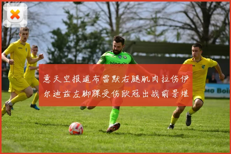 意天空报道布雷默右腿肌肉拉伤伊尔迪兹左脚踝受伤欧冠出战前景堪忧