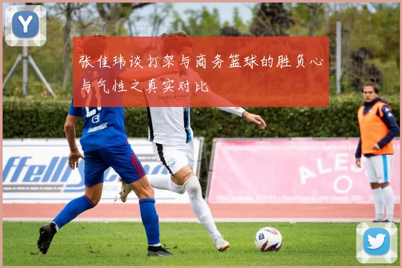 张佳玮谈打架与商务篮球的胜负心与气性之真实对比